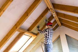 Best Commercial Insulation Services in Brownsville, KY