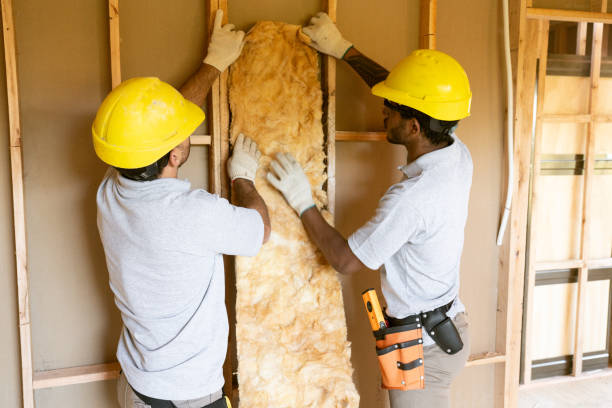 Best Batt and Roll Insulation in Brownsville, KY